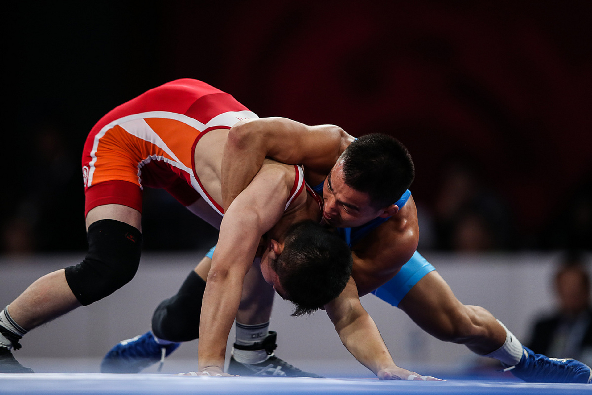 备受瞩目的 备受瞩目的