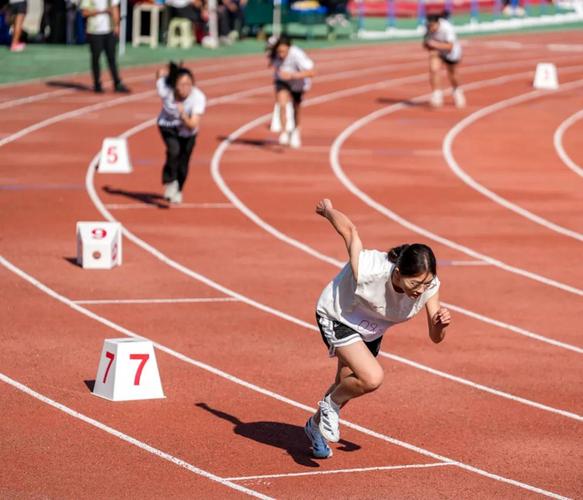 的下一个篇 的下一个篇