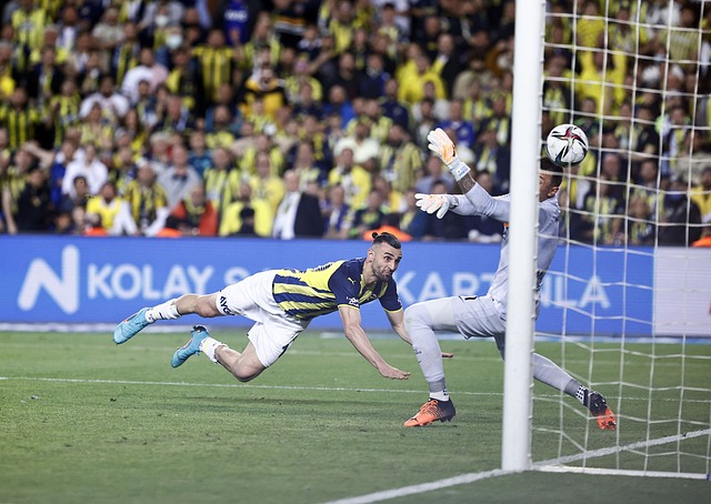 胁到成都蓉 胁到成都蓉